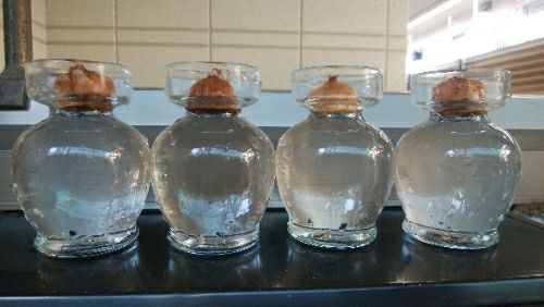 rblog-20171103112352-05.jpg