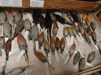 10.4 torino  hakusei.jpg