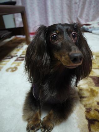 P1030831.JPG