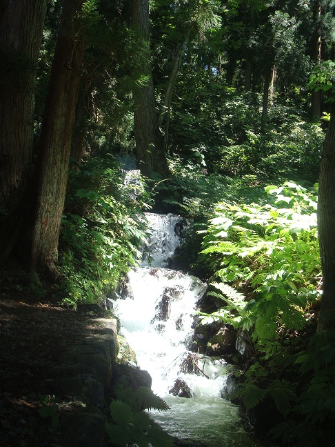 tunann11
