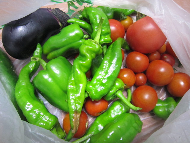 20120804収穫物.jpg
