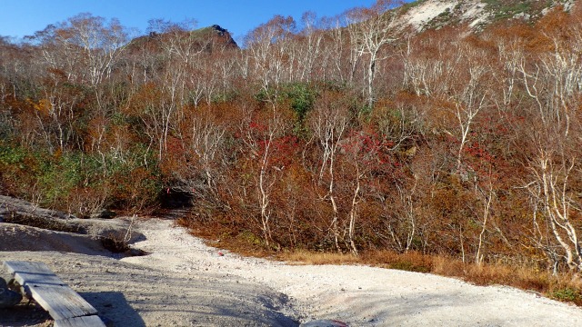 PA191432　14：23火山裸地から振り返る.jpg