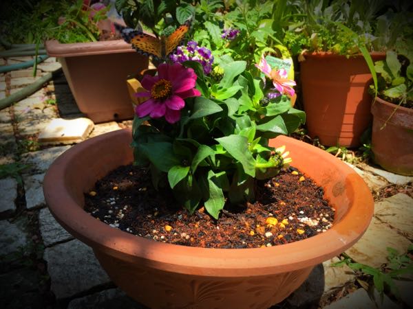 rblog-20150531144126-02.jpg