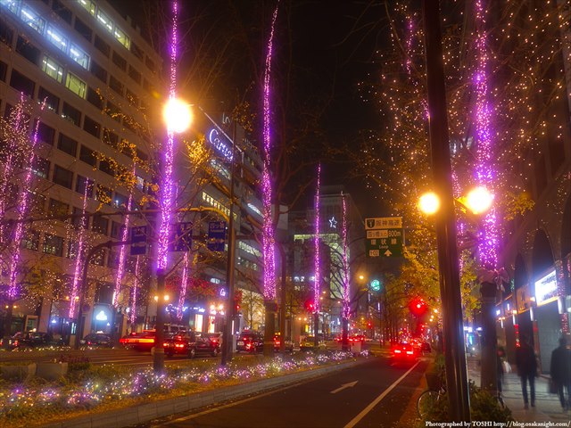 midosuji_illumination2011_06[1]_R.jpg