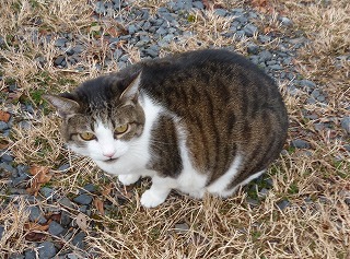 P1130412-ass.jpg