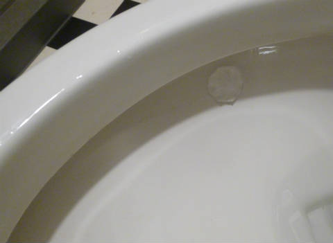 P1090145.JPG