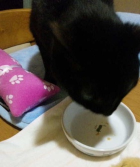 20120617_3.jpg