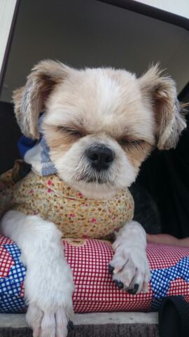 rblog-20140721101548-01.jpg