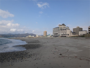 新潟311.jpg