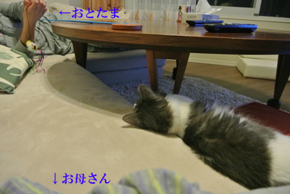 mumu9.jpg