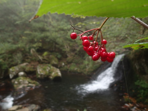 norikura131014011