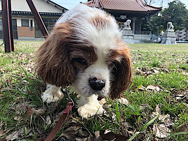 rblog-20180315161956-04.jpg