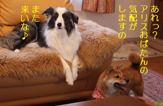 います