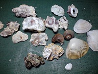 CA3A4286.jpg