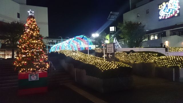 2015-11-24 18.26.59.jpg