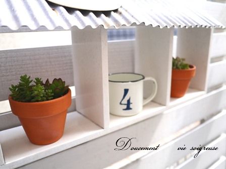 2016.3.31 多肉.JPG