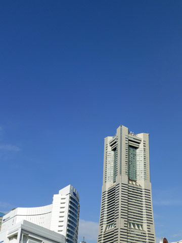 LM.jpg