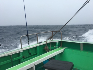 160703沖へ沖へ