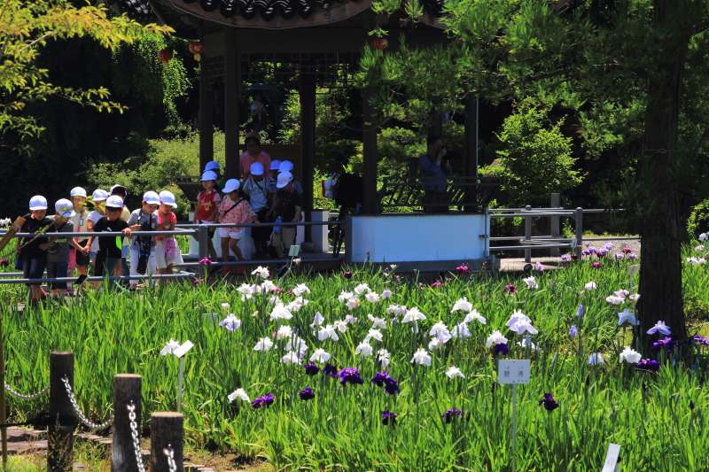水月公園_002.jpg