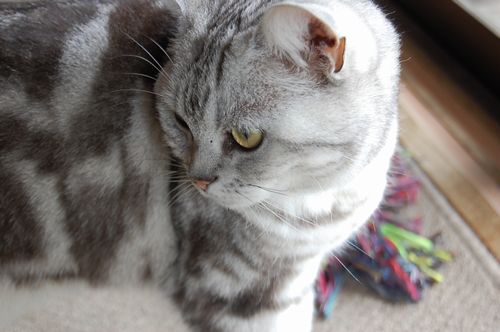 DSC_0318.JPG