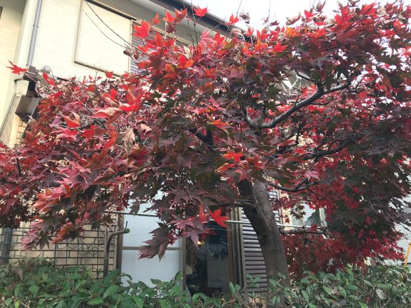 rblog-20181203161502-01.jpg