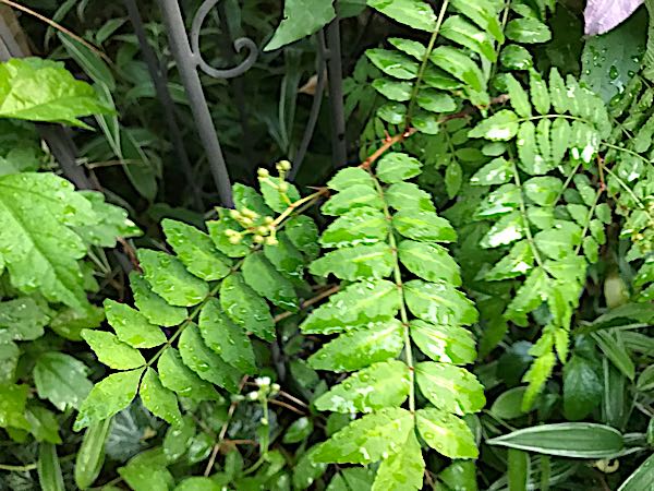 rblog-20180428185412-07.jpg