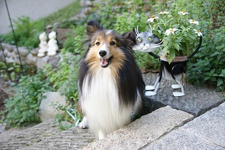 DSC03880.jpg