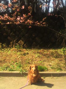 2013030912550000.jpg