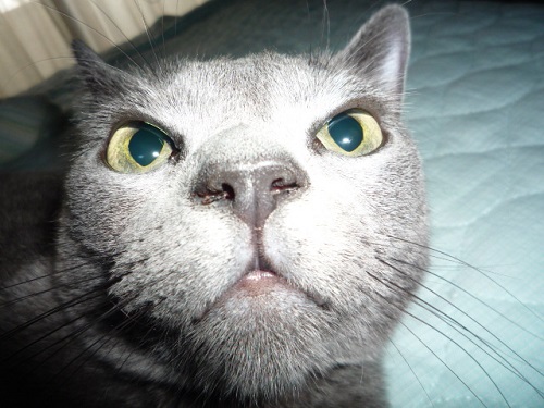 P1240368 - コピー.JPG