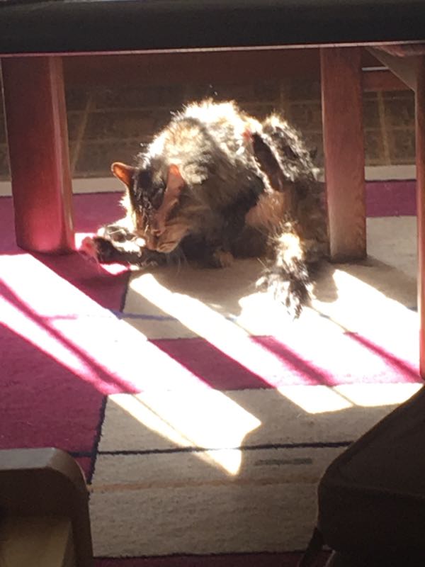 rblog-20170605114504-02.jpg