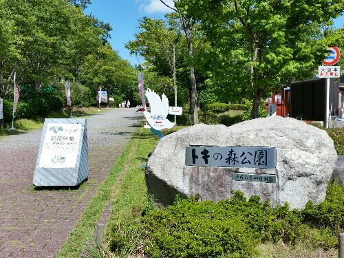 rblog-20150818222233-03.jpg