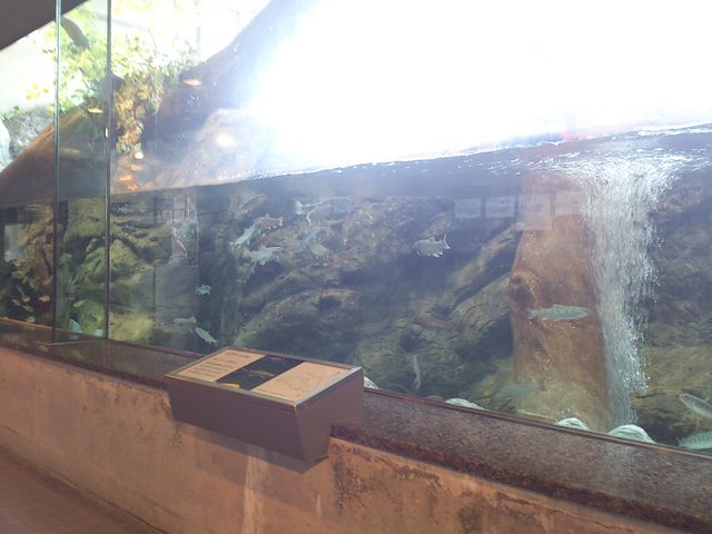 2014-01-25 10.41.38.jpg