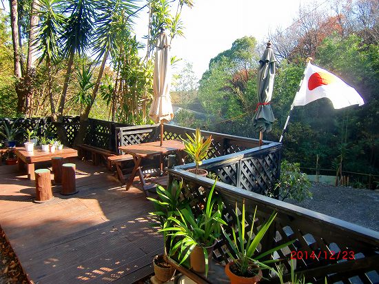 天皇誕生日 025.jpg