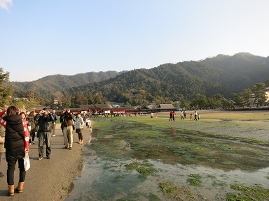 安芸の宮島へ413.jpg