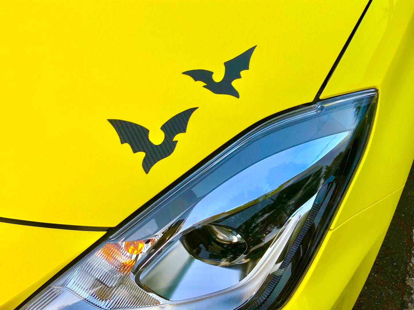 新着記事一覧 モチ日記 楽天ブログ