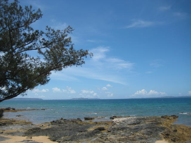 IMG_3233.JPG