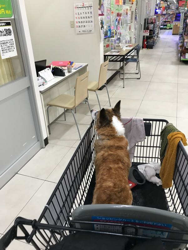rblog-20180204082716-02.jpg