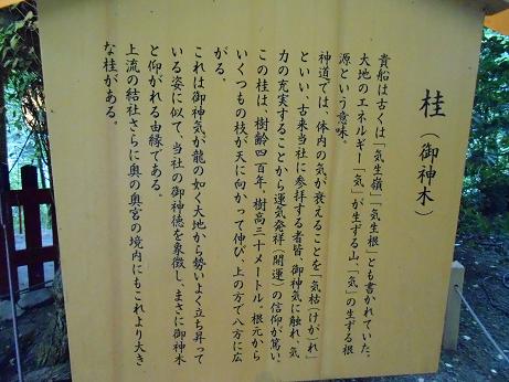 DSCN4692.jpg