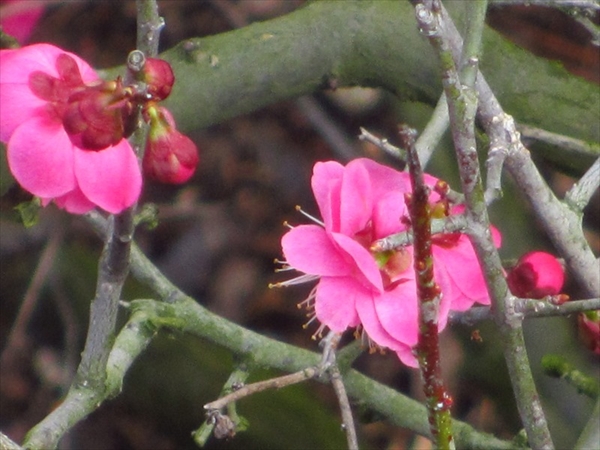 06b249_R.jpg