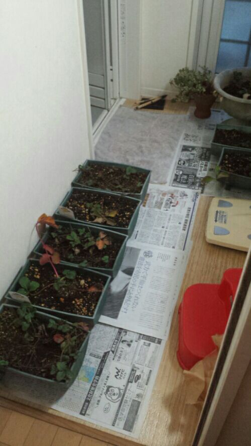 rblog-20180122071307-01.jpg