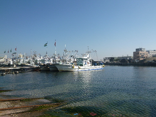 P1150094(1).JPG