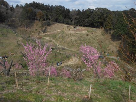 里山公園