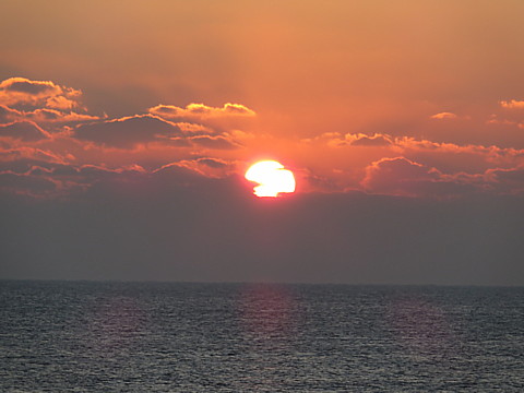 IMG_8086.jpg