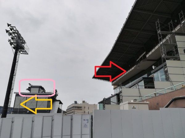 新着記事一覧 ミツオーのセカンド ボイス 楽天ブログ