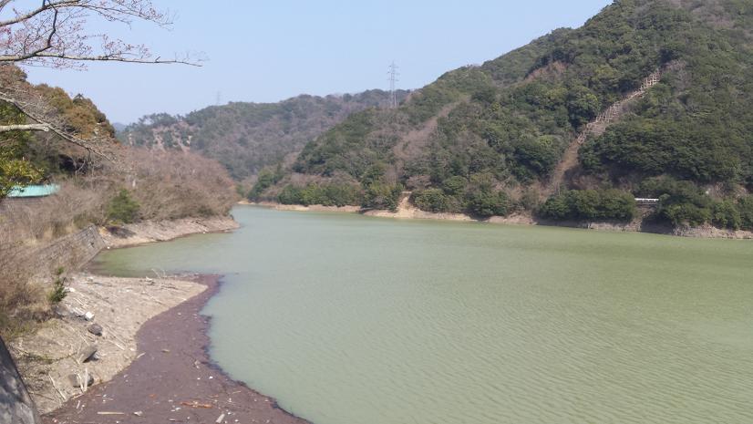 20180325_140546[1].jpg