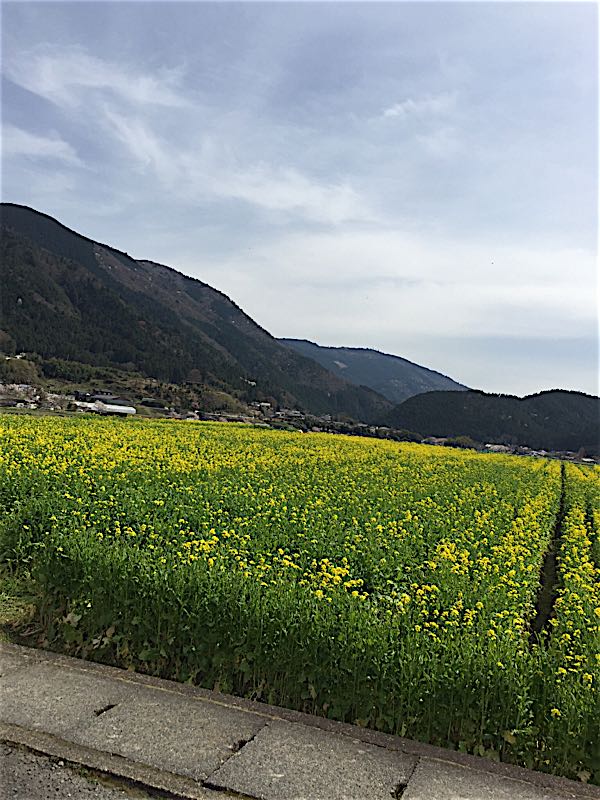 rblog-20160411185529-02.jpg