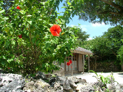 竹富島イメージ