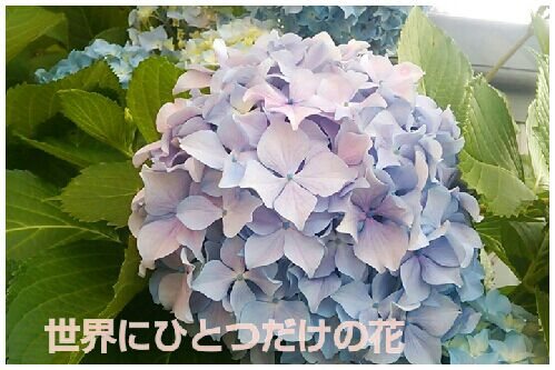 rblog-20160617064625-00.jpg