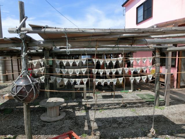 CIMG9343.jpg