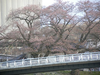 DSCN8246.jpg